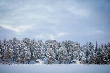 Фото номера Люкс-шатер - Купол Люкс-шатры Aurora Dome &amp; Glamping г. Муонио 17